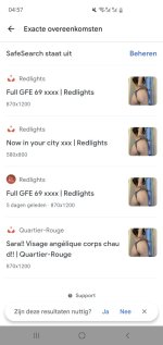 Screenshot_20241201_045712_Google.jpg
