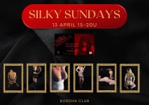 Silky Sundays 13 April 25.jpeg