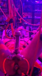 vlcsnap-2025-09-16-15h57m20s938.jpg