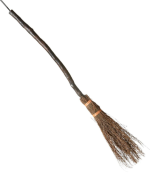 2025-10-21 15_49_53-bezemsteel heks - Google Zoeken en nog 1 andere pagina - [InPrivate] - Mic...png