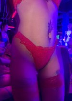 9. Bee body voor .jpg