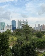 Concrete jungle, I love mak mak .jpg