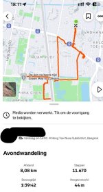 Wandelingetje Bangkok .jpg