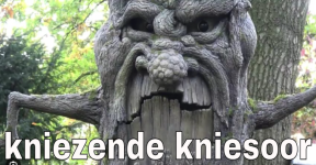 2026-01-31 09_03_29-Greenshot.png