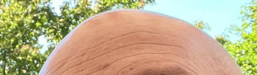 EDEF6F12-2AB3-42F7-B6A5-EC7131288413.jpeg