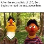 animal-after-second-tab-lsd-bert-begins-read-text-above-him.jpg