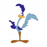 Roadrunner