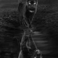 Ghostsideplk