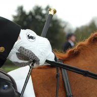 Top-Ruiter