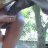 Harrie_de_Hengst