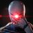Gray Fox