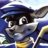 SlyRacoon